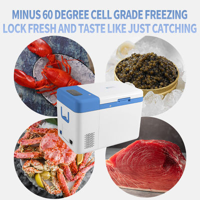 12V/24V -60 Degree Deep Cold Storage and Transfer Portable Freezer for Mini Cars